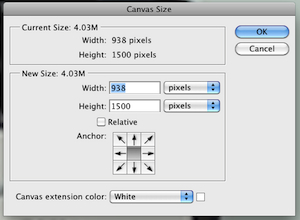 Canvas size dialog