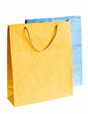 Shopping Bag