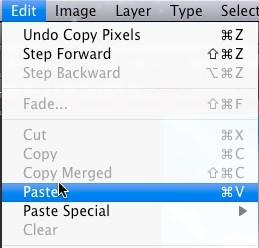Select edit > paste